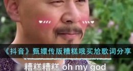 抖音甄嬛传版糟糕哦买尬歌词是什么(甄嬛传版糟糕哦买尬歌词分享)