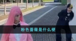 粉色蔷薇是什么梗(粉色蔷薇是什么意思)