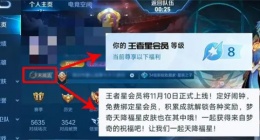 王者荣耀星会员开通(王者荣耀星会员怎么开通)