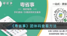 粤省事团体码怎么打开(粤省事团体码打开方法)