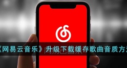 网易云音乐下载的歌曲音质怎么升级(网易云音乐怎么升级下载后歌曲的音质)