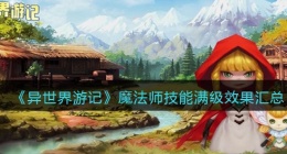 异世界游记魔法师技能满级效果图(异世界游记魔法师技能满级效果图大全)