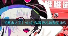 氪金之王vip礼包等级礼包买么 氪金之王vip等级礼包值得购买