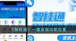 智桂通的一键直报在哪里 智桂通的一键直报位置在哪找