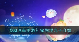 QQ飞车手游宠物浮元子 QQ飞车手游宠物浮元子如何