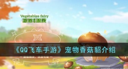 QQ飞车手游宠物香菇貂 QQ飞车手游宠物香菇貂如何